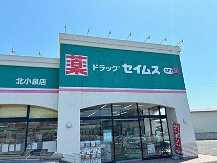 ドラッグセイムス 北小泉店 約1,160m(徒歩約15分)