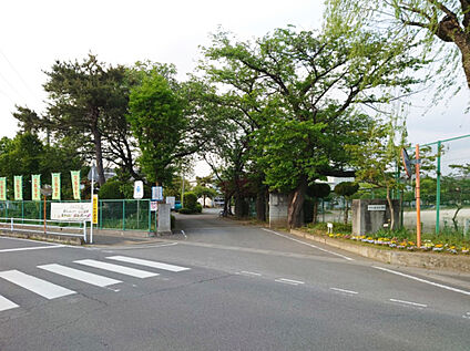 桜沢小学校 約950ｍ(徒歩12分)