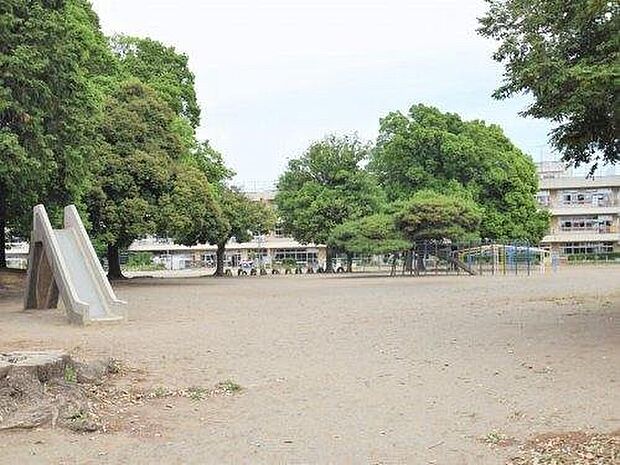 第六小学校