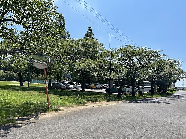 谷田部総合運動公園