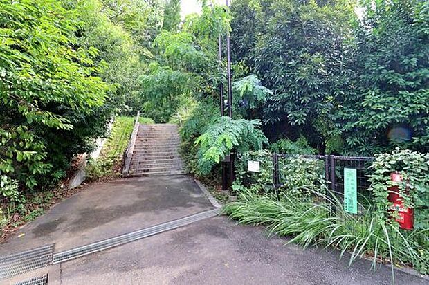 入間いちょう公園(約850m)