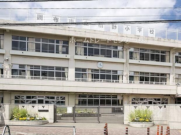 調布市立柏野小学校(約800m)