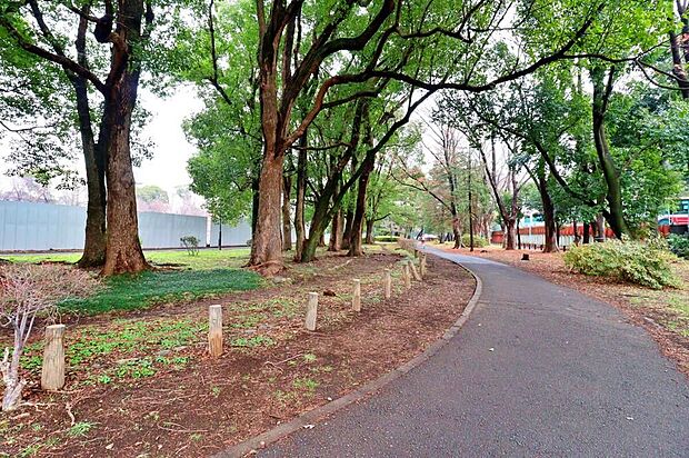 善福寺公園(約260m)