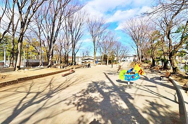 喜多見公園(約800m)
