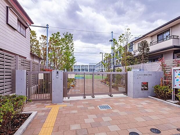 中野区立美鳩小学校（約350m）