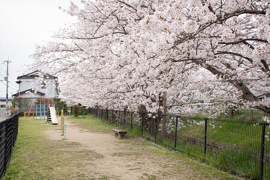 【その他】野色公園