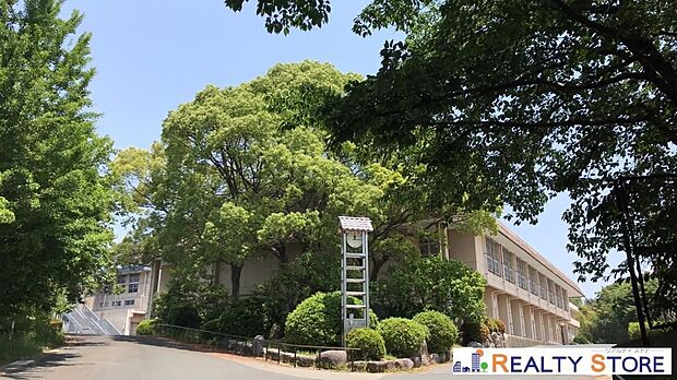 太宰府市立太宰府中学校（約800m）