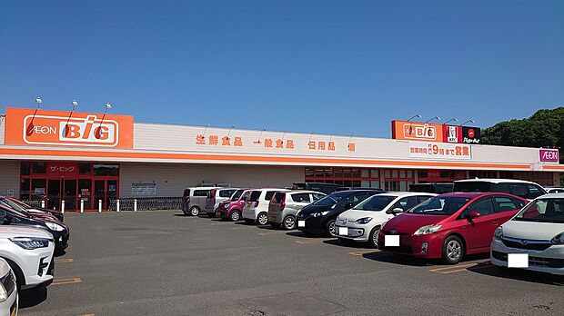 ザ・ビッグ釧路春採SC店（2025年6月撮影）