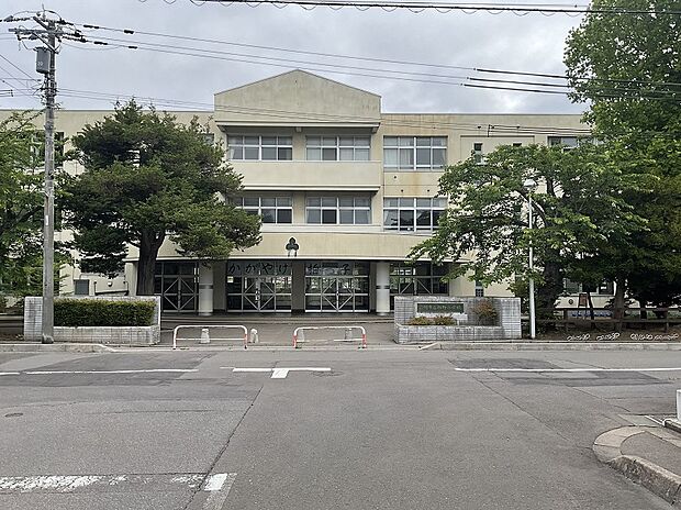 柏野小学校