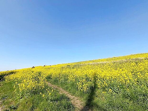 ☆目の前の河川敷は、四季折々の景観が楽しめます☆
飯田グループホールディングス唯一の販売専門会社のホームトレードセンターの社員が直接、当物件をご案内いたします。