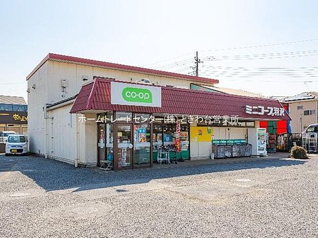 ミニコープ羽沢店(約600m)