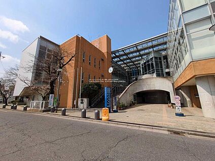 志木市立志木小学校 550m(徒歩7分)