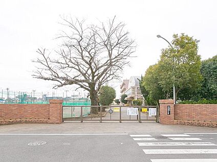 ふじみ野市立大井東中学校 640m(徒歩8分)