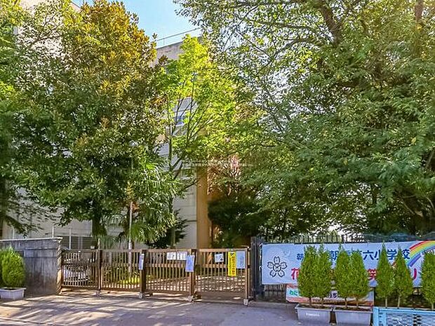 朝霞市立朝霞第六小学校(約610m)