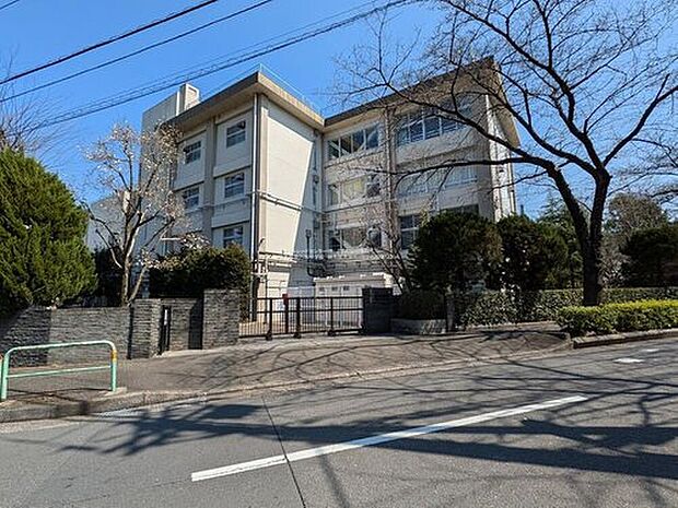 練馬区立八坂中学校（約1,240m）