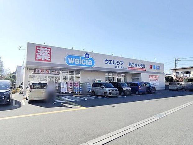 ウエルシア富士見上沢店(約730m)