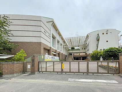 朝霞市立朝霞第一中学校 880m(徒歩11分)