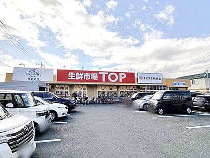 マミーマート生鮮市場TOP苗間店 770m(徒歩10分)