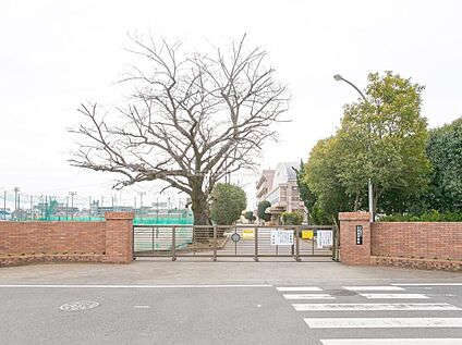 ふじみ野市立大井東中学校 960m(徒歩12分)