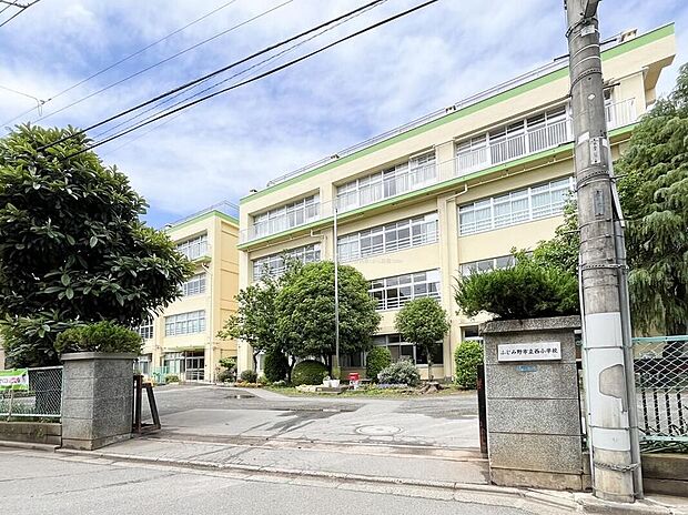 ふじみ野市立西小学校（約1,300m）
