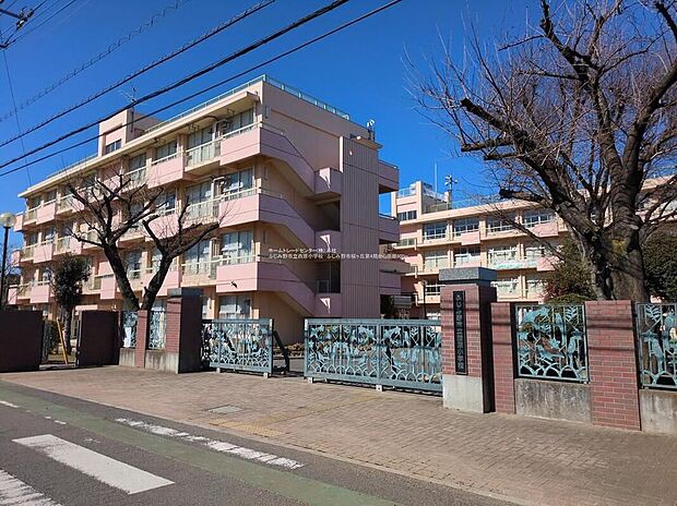ふじみ野市立西原小学校（約800m）