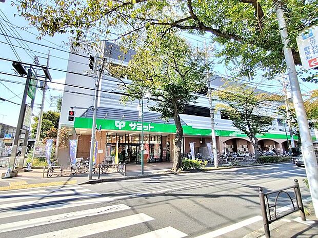 サミットストア大泉学園店(約700m)
