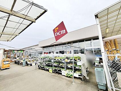 DCM三芳店 950m(徒歩13分)