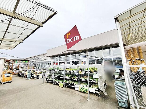 DCM三芳店（約950m）