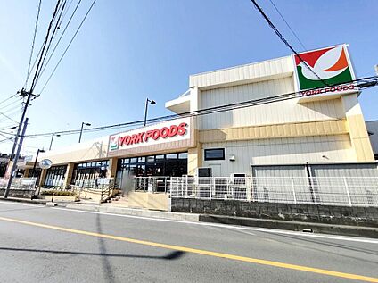 ヨークフーズ新座馬場店 700ｍ(徒歩9分)