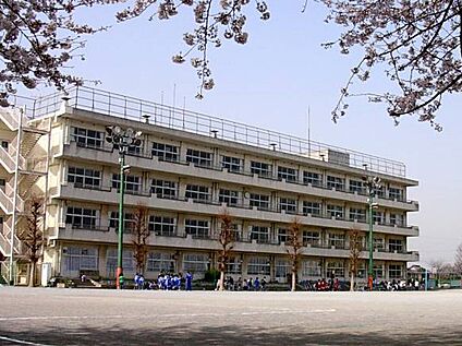 市川市立柏井小学校 585m 