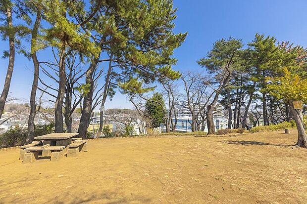 茂呂山公園（約200m）