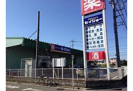 デイリーケアセイジョー浦和円正寺店 800m(徒歩10分)