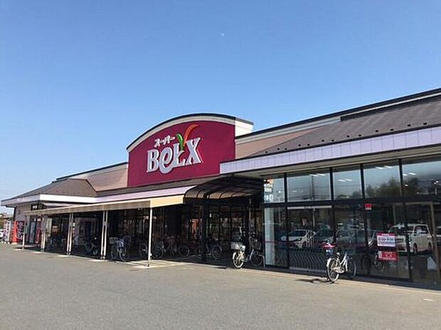 ベルクス岩槻城北店(約1,000m)