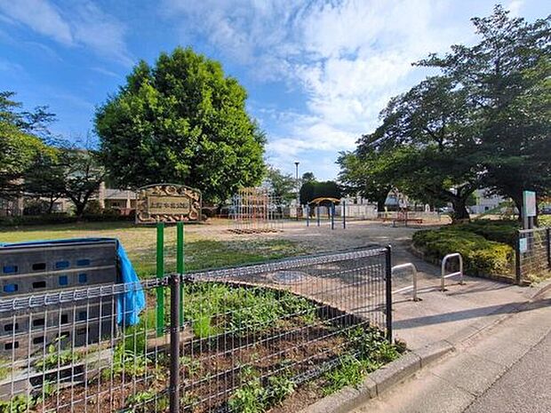 上青木北公園（約850m）