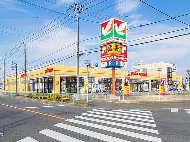 ヨークフーズ東岩槻店（約830m）