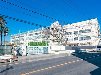 川口市立上青木小学校 800m(徒歩10分)