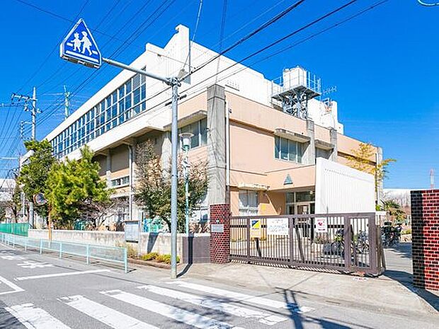 川口市立芝西小学校（約1,000m）