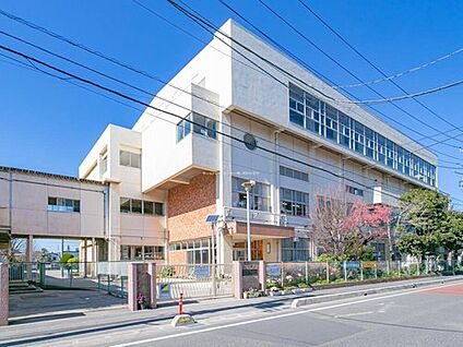 川口市立飯塚小学校 550m(徒歩7分)