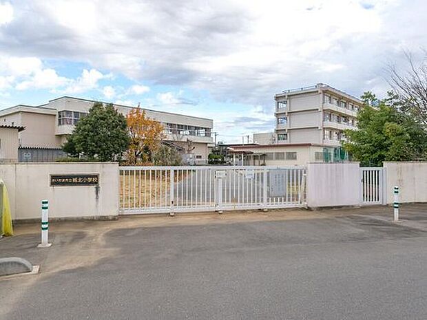 さいたま市立城北小学校（約650m）