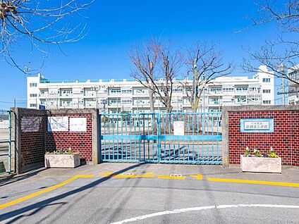川口市立新郷東小学校 900m(徒歩12分)