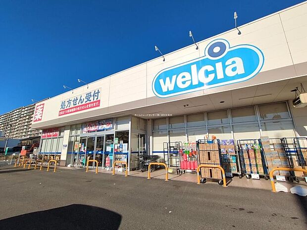 ウエルシア岩槻西町店（約950m）