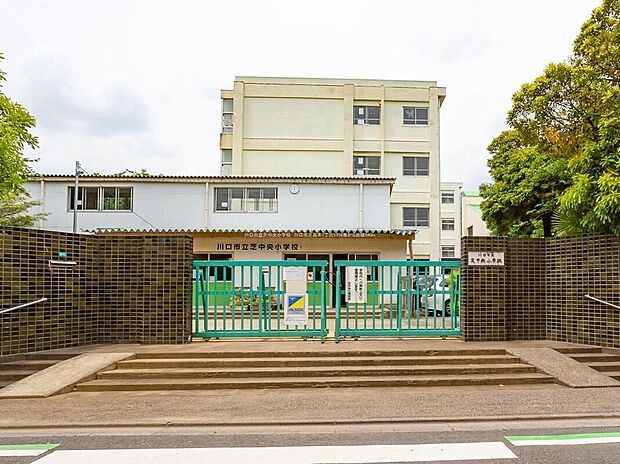川口市立芝中央小学校（約450m）