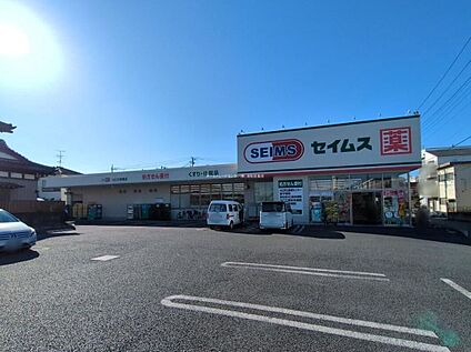 ドラッグセイムス川口天神橋店 700ｍ(徒歩9分)