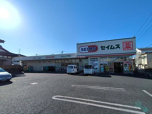 ドラッグセイムス川口天神橋店(約700m)