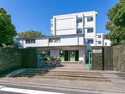 川口市立芝中央小学校 800m (徒歩10分)