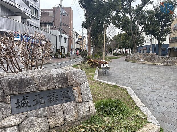 城北緑道公園（約320m）