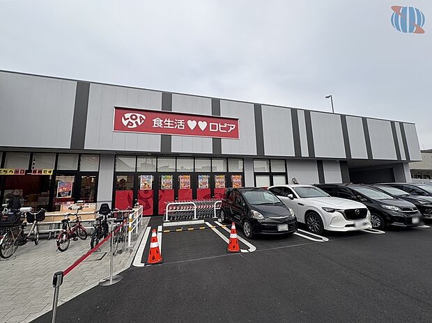 ロピア 新高店(約560m)