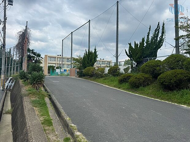 枚方市立枚方中学校(約1,000m)
