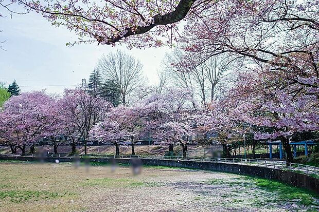 白山公園（現地より徒歩7分）