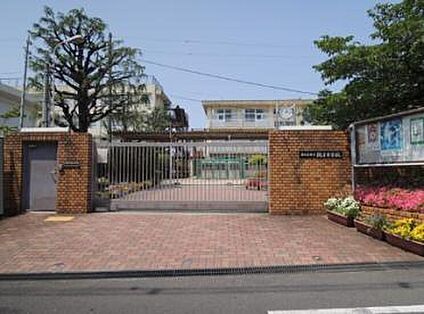 東大阪市立縄手中学校 909m(徒歩11分)